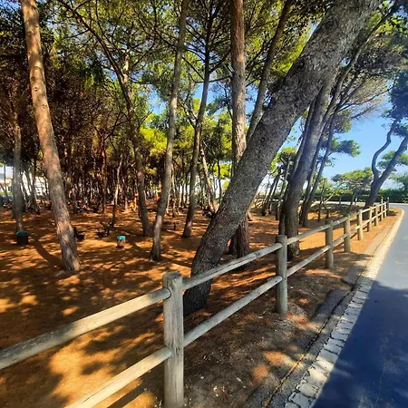 Apartment Mare Trilo Pt1 - Myho Casa